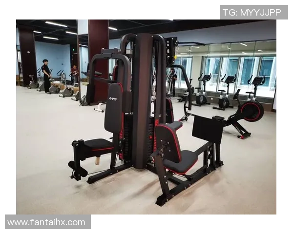 转体训练专用健身器材介绍及使用技巧